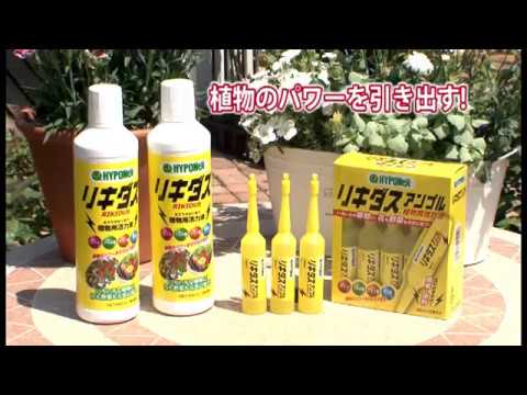 【商品紹介：活力液リキダスの使い方】#初心者 #園芸のキホン｜ハイポネックスジャパン