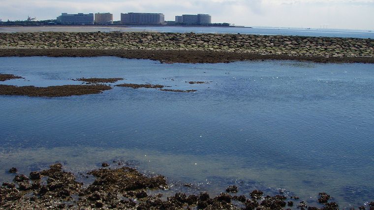 釣り難い場所