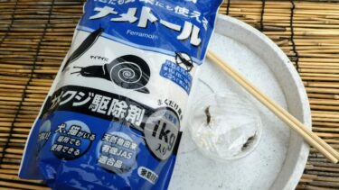 ナメクジ駆除剤「ナメトール」実験