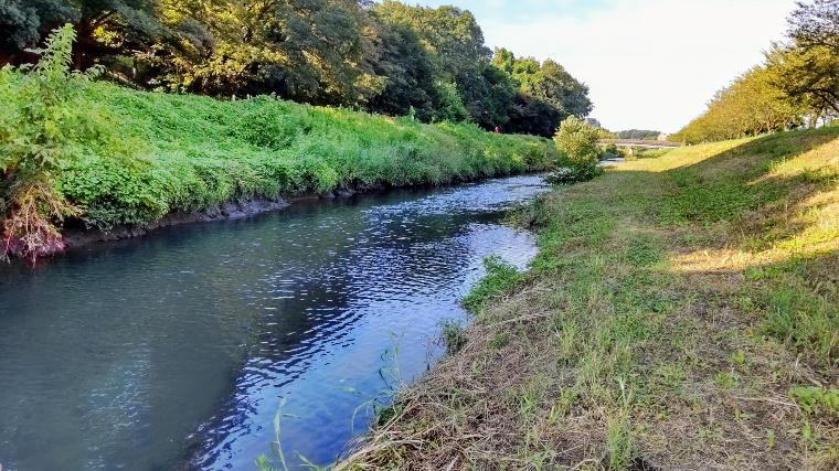 パン鯉おすすめの小河川