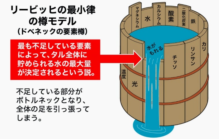 リービッヒの最小律の樽モデル