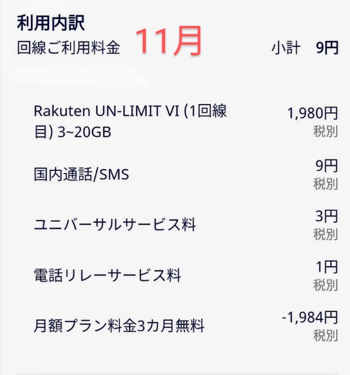 11月の利用料金