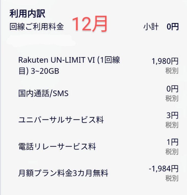 12月の利用料金