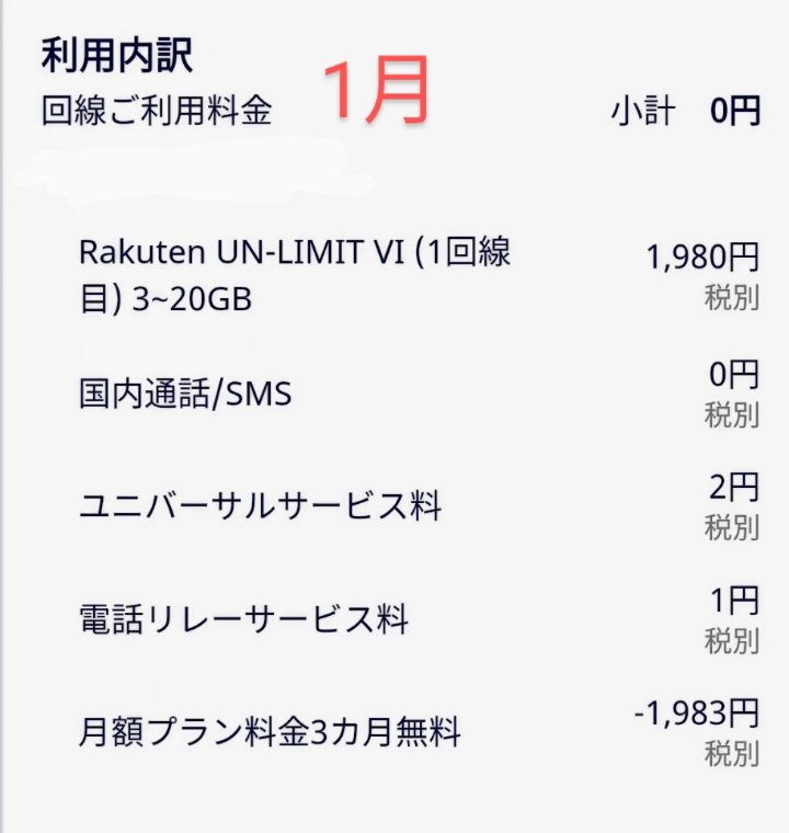 1月の利用料金