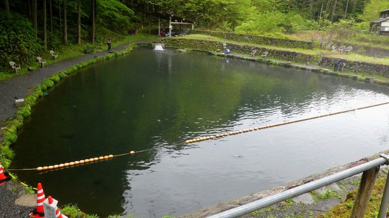 駐車場からポンド全景