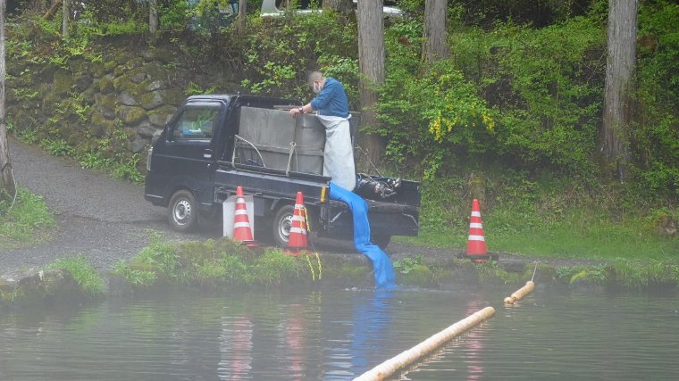 放流車