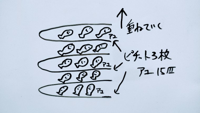 ピチットで鮎を挟む