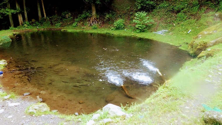 6号池画像