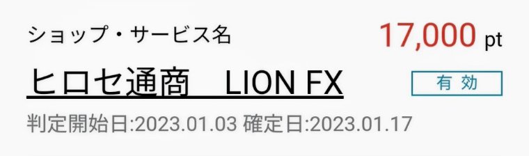 ヒロセ通商　LION FX　有効判定