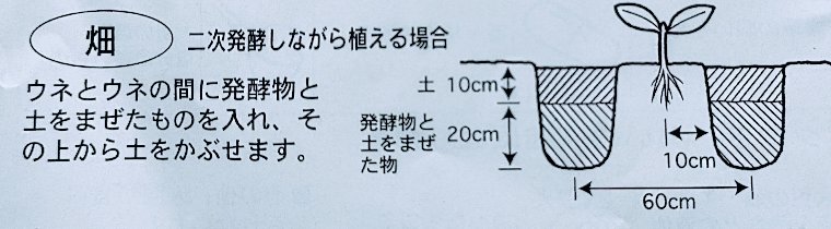 二次発酵しながら植える場合