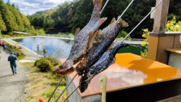 【榛名高原つり堀センター攻略】釣り味より食味？！一度は食べたい釣りたてニジマスの唐揚げ