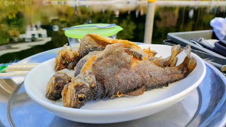 釣り場で食べてもOK